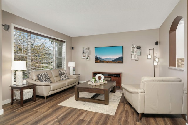 4323 Victor Path Unit 1, Hugo, MN 55038 - living area with arched walkways and wood finished floors