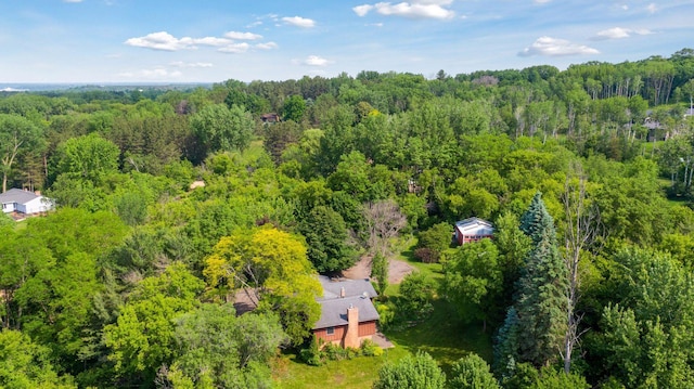 1031 Pheasant Trl, Hudson, WI 54016 - bird's eye view of a forest