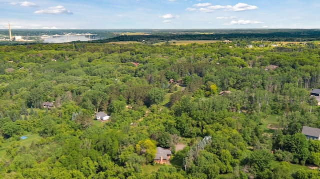 1031 Pheasant Trl, Hudson, WI 54016 - drone / aerial view of a forest and a large body of water
