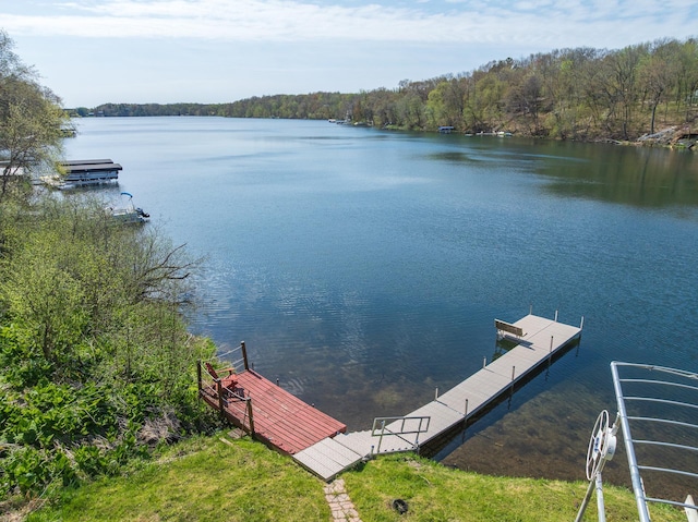 1651 Niles Ln N, Centuria, WI 54824 - dock area featuring a water view and a view of trees