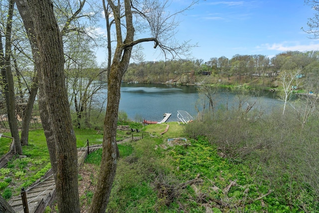 1651 Niles Ln N, Centuria, WI 54824 - water view