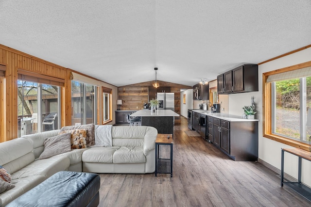 1651 Niles Ln N, Centuria, WI 54824 - living area with wood walls, vaulted ceiling, wood finished floors, a textured ceiling, and baseboards