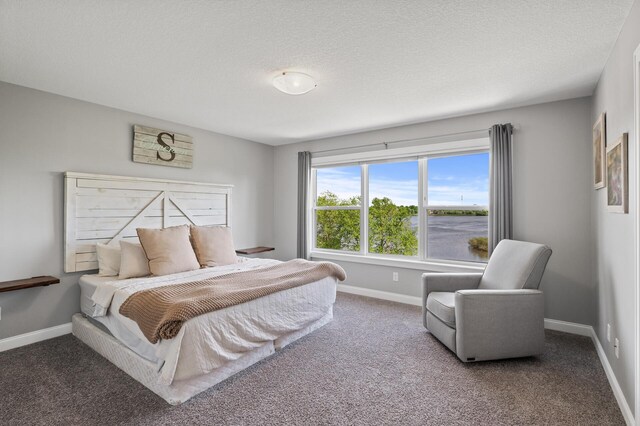 6644 Lamplight Dr, Albertville, MN 55301 - carpeted bedroom featuring baseboards and a textured ceiling