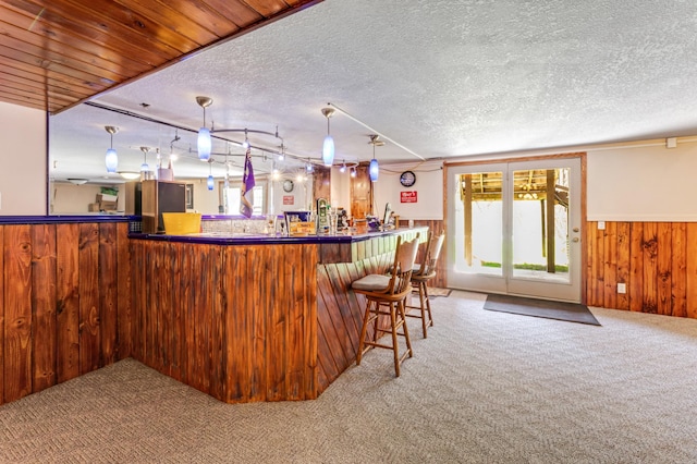 23677 County Road 23, Winona, MN 55987 - indoor wet bar featuring carpet floors, wooden walls, a textured ceiling, a wainscoted wall, and pendant lighting