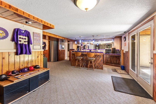 23677 County Road 23, Winona, MN 55987 - community bar area with wood walls, carpet, a textured ceiling, and wainscoting