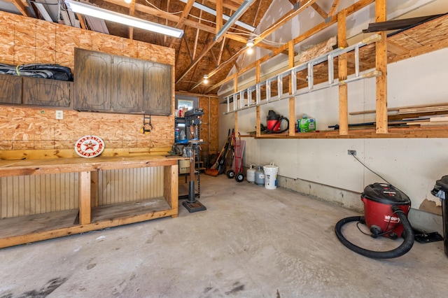 23677 County Road 23, Winona, MN 55987 - garage featuring a workshop area