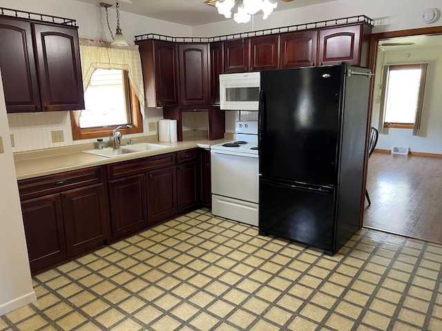 kitchen with white appliances, a sink, plenty of natural light, and reddish brown cabinets