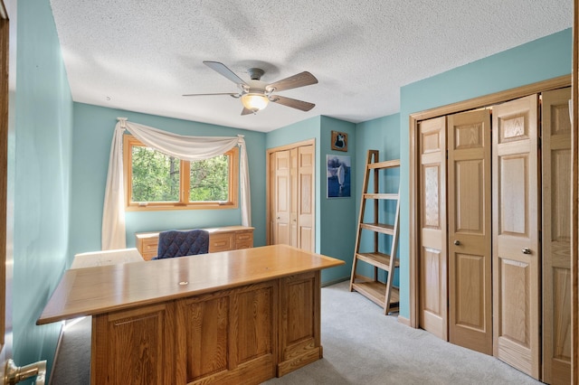 2209 Indian Rd W, Minnetonka, MN 55305 - office with light carpet, a ceiling fan, and a textured ceiling