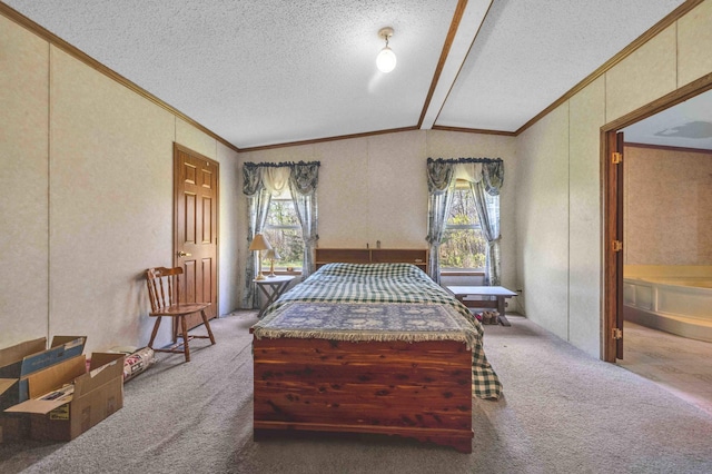 7210 79th Ave SW, Staples, MN 56479 - bedroom featuring carpet floors, ornamental molding, a textured ceiling, and vaulted ceiling