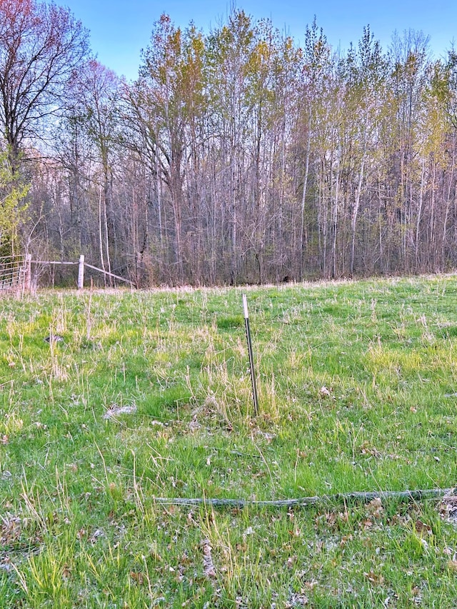 7210 79th Ave SW, Staples, MN 56479 - view of yard