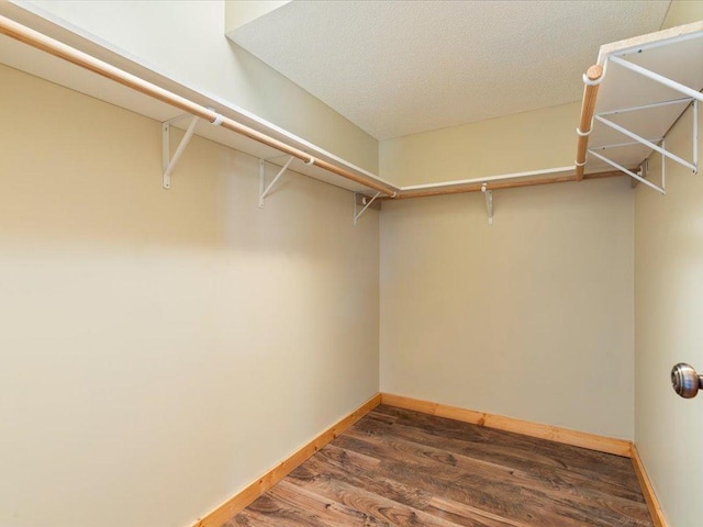 spacious closet featuring wood finished floors