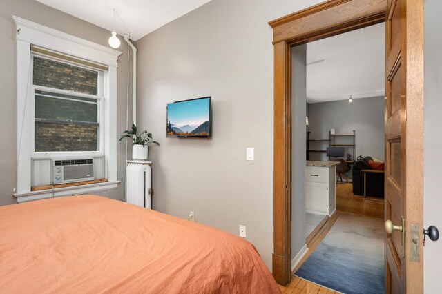 635 Grand Ave Unit 4, Saint Paul, MN 55105 - bedroom with wood finished floors and radiator