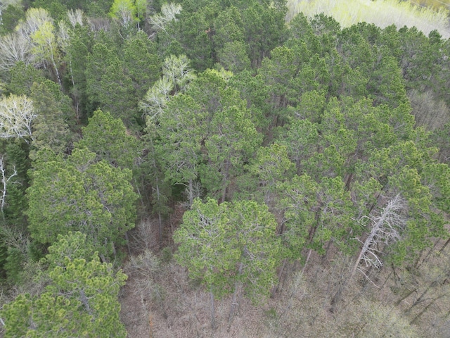 18772 Estate Dr, Park Rapids, MN 56470 - photo 36