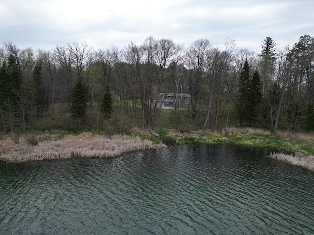 18772 Estate Dr, Park Rapids, MN 56470 - photo 41