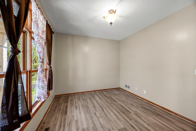25100 Lincoln Dr NE, Athens Twp, MN 55040 - spare room with light wood-type flooring, baseboards, and a textured ceiling