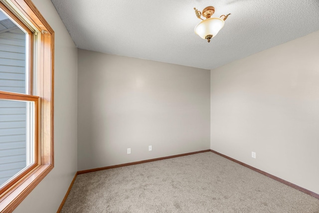25100 Lincoln Dr NE, Athens Twp, MN 55040 - unfurnished room with carpet, a textured ceiling, and baseboards