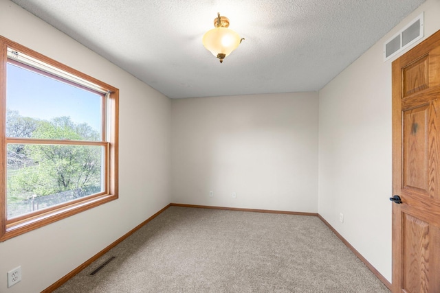 25100 Lincoln Dr NE, Athens Twp, MN 55040 - unfurnished room with carpet, baseboards, and a textured ceiling
