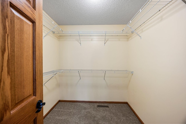 25100 Lincoln Dr NE, Athens Twp, MN 55040 - spacious closet with carpet