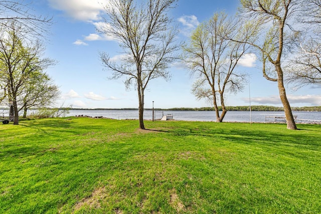 17055 Dickenson Ln, Waterville, MN 56096 - view of grassy yard with a water view