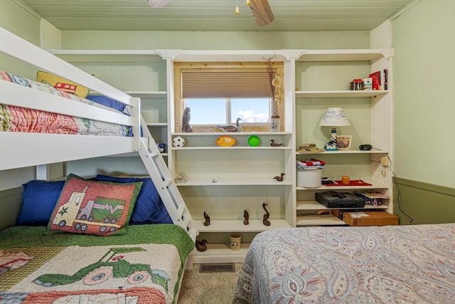 17055 Dickenson Ln, Waterville, MN 56096 - view of carpeted bedroom