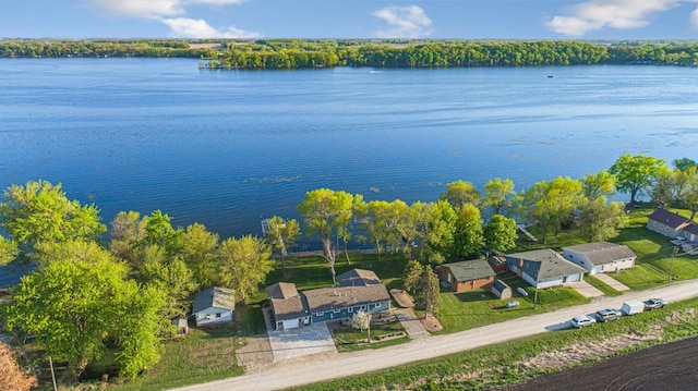 17055 Dickenson Ln, Waterville, MN 56096 - drone / aerial view of a large body of water