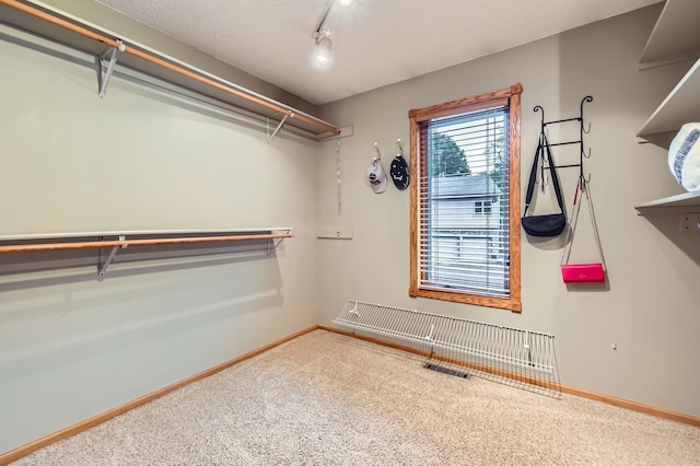58 Garden Dr, Burnsville, MN 55337 - spacious closet with carpet floors