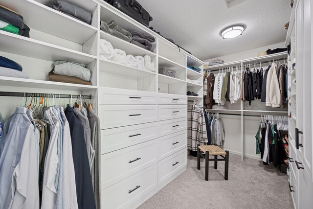 19820 Schutte Farm Rd, Corcoran, MN 55340 - walk in closet with light colored carpet