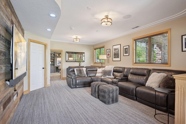 19820 Schutte Farm Rd, Corcoran, MN 55340 - carpeted living room featuring a textured ceiling, baseboards, recessed lighting, and ornamental molding