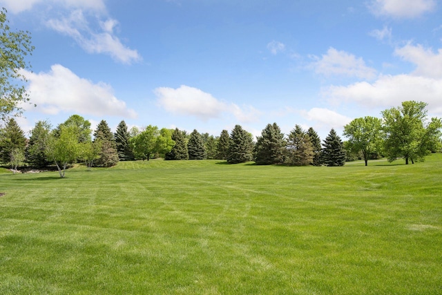19820 Schutte Farm Rd, Corcoran, MN 55340 - view of green lawn