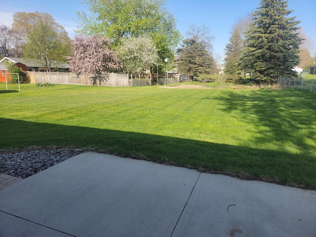411 Bullis St, Kenyon, MN 55946 - view of yard featuring a patio area