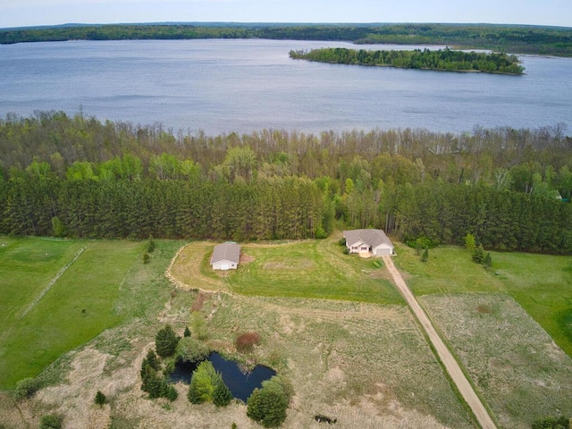 38850 Christie Ln, Cohasset, MN 55721 - aerial view of property's location with a large body of water and a heavily wooded area