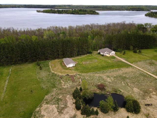 38850 Christie Ln, Cohasset, MN 55721 - view of property location with a large body of water and a heavily wooded area