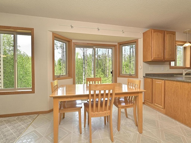38850 Christie Ln, Cohasset, MN 55721 - dining space with healthy amount of natural light, baseboards, and a textured ceiling