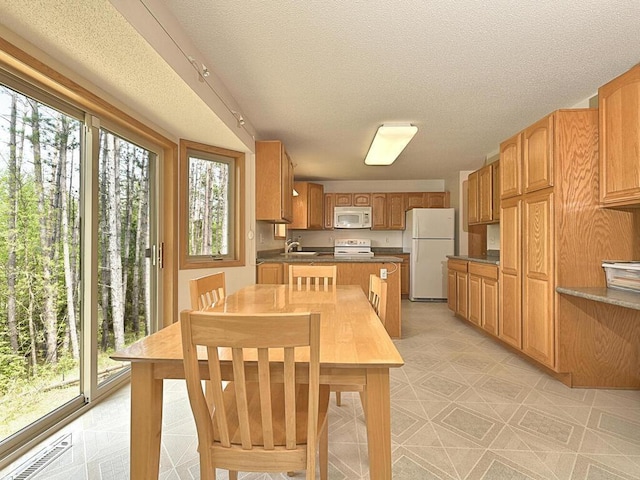 38850 Christie Ln, Cohasset, MN 55721 - dining room featuring a textured ceiling