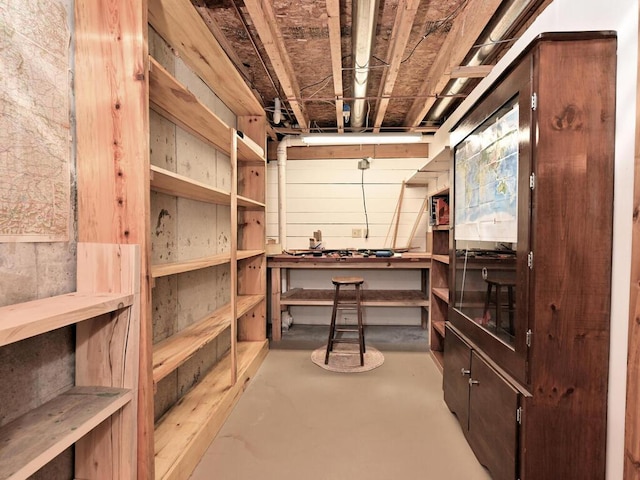 38850 Christie Ln, Cohasset, MN 55721 - view of storage