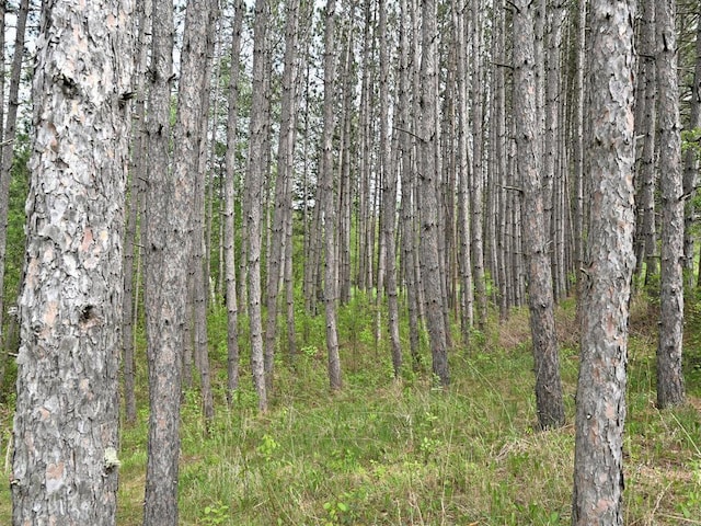 38850 Christie Ln, Cohasset, MN 55721 - view of undeveloped land