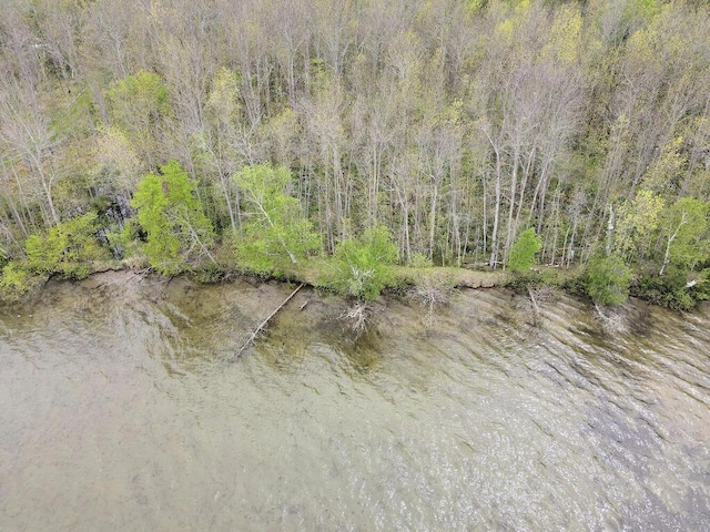 38850 Christie Ln, Cohasset, MN 55721 - water view