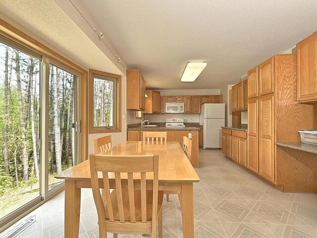 38850 Christie Ln, Cohasset, MN 55721 - dining room featuring a textured ceiling