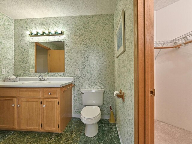 38850 Christie Ln, Cohasset, MN 55721 - bathroom with toilet, vanity, and a textured ceiling