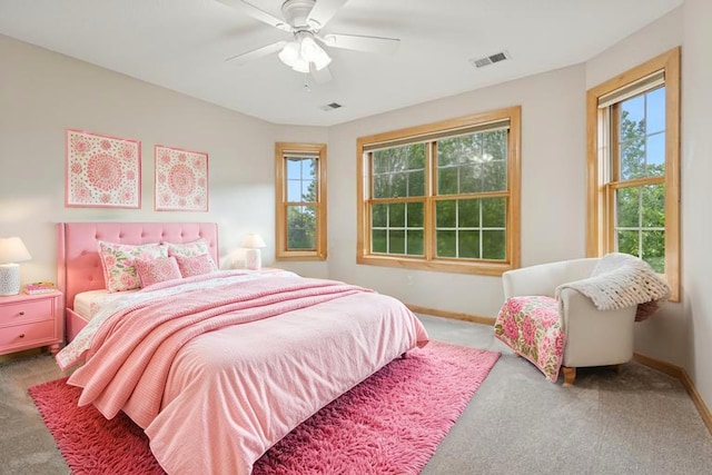 1376 Cobblestone Rd N, Champlin, MN 55316 - photo 32