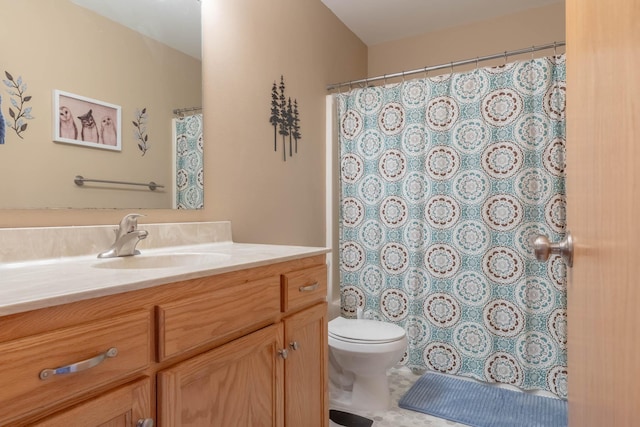 bathroom featuring toilet, vanity, and a shower with curtain