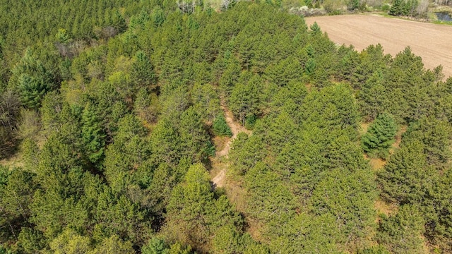 N407 690th St, Peru Twp, WI 54736 - photo 26