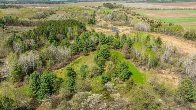 N407 690th St, Peru Twp, WI 54736 - photo 27