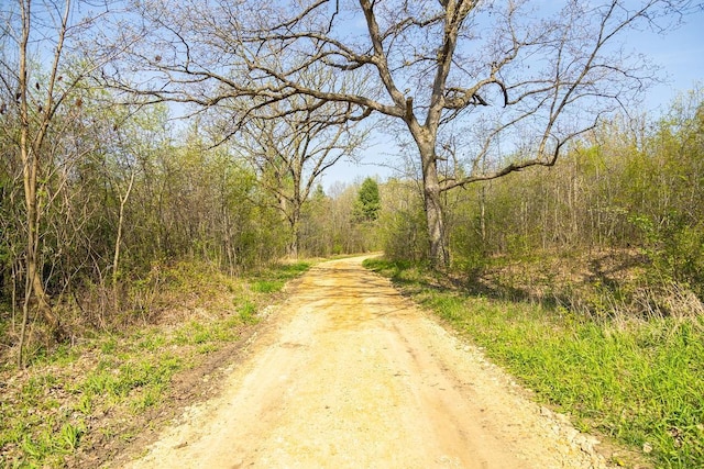 N407 690th St, Peru Twp, WI 54736 - photo 33