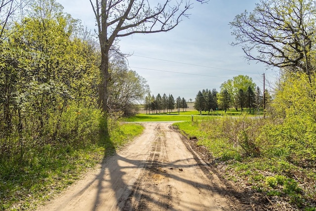 N407 690th St, Peru Twp, WI 54736 - photo 34