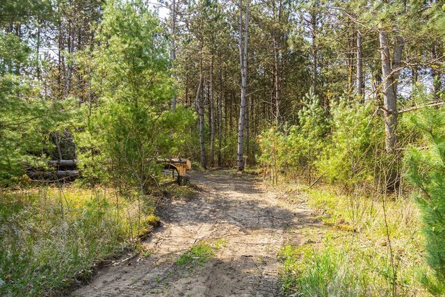 N407 690th St, Peru Twp, WI 54736 - photo 41