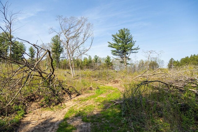 N407 690th St, Peru Twp, WI 54736 - photo 48