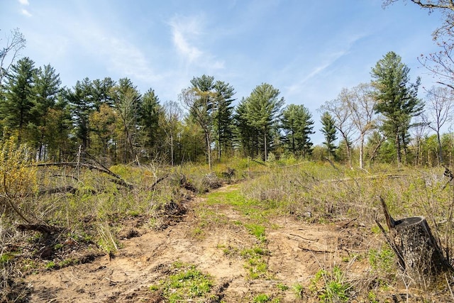 N407 690th St, Peru Twp, WI 54736 - photo 49