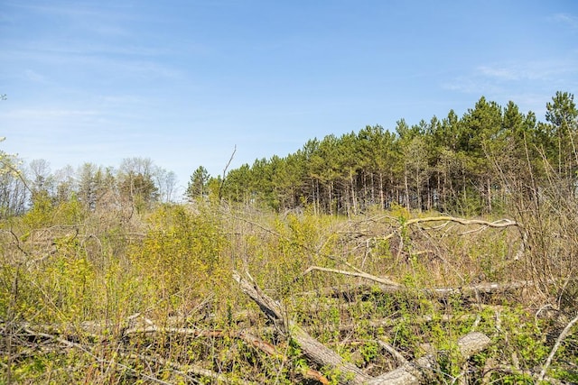 N407 690th St, Peru Twp, WI 54736 - photo 50