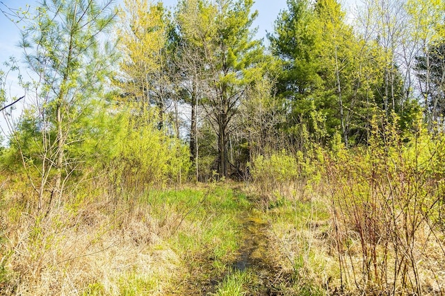 N407 690th St, Peru Twp, WI 54736 - photo 53